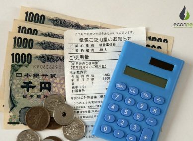 Electricity Fees and Charges