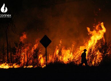 Australia’s top utility providers are coming forward in support amid bushfire calamity