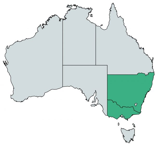 Fast food restaurant business plan ppt picture